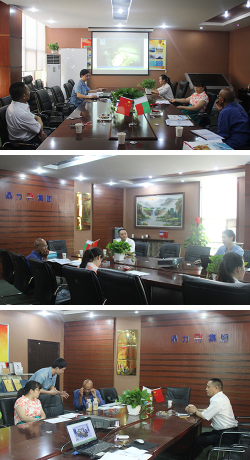 馬達加斯加考察團考察木鄭州鼎力酵母烘干機